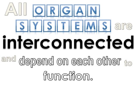 A&P Big Idea - Interconnected