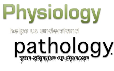 A&P Big Idea - Pathology