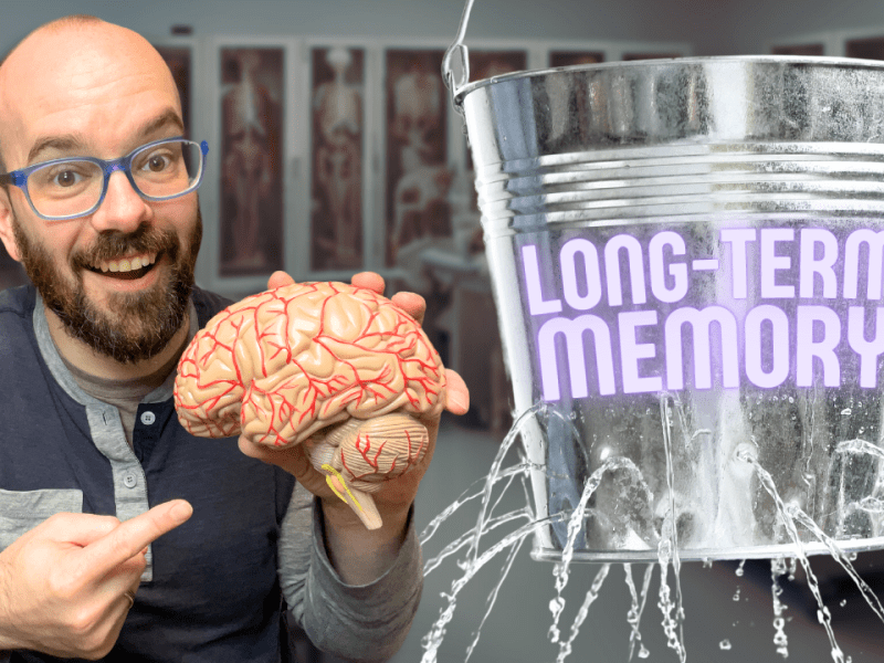 How Memory Works (Learn anatomy&nbsp;faster!)